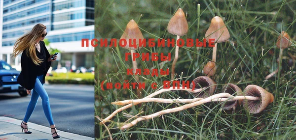 кокаин Белокуриха