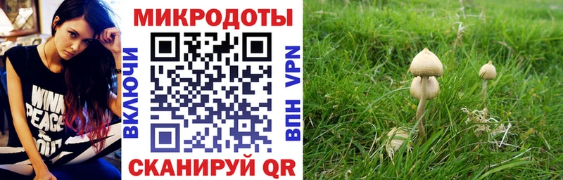Псилоцибиновые грибы ЛСД Белокуриха